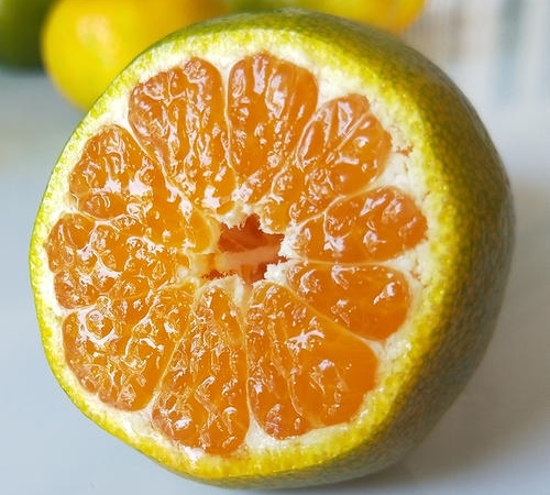 橘子選擇在晚上吃可以嗎